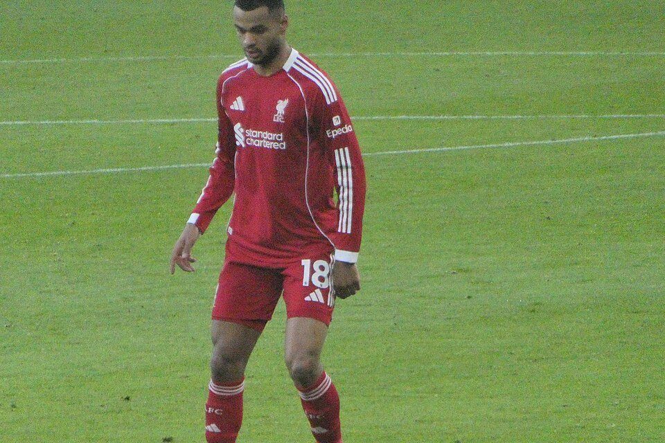 Ảnh tư liệu: Cody Gakpo, cầu thủ của Liverpool. Nguồn: Wikimedia Commons.